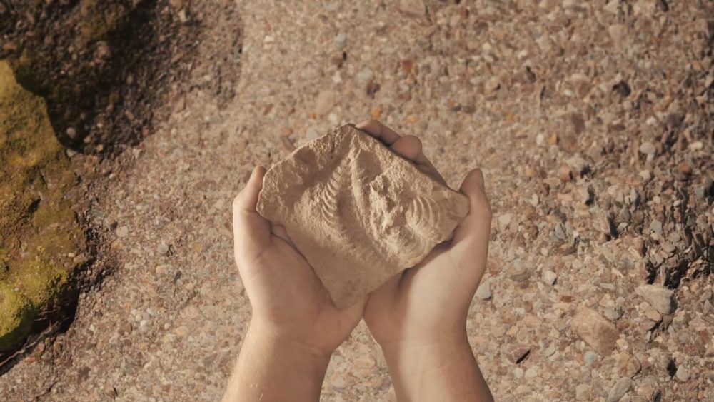 Научпоп о древних животных России вышел на Okko