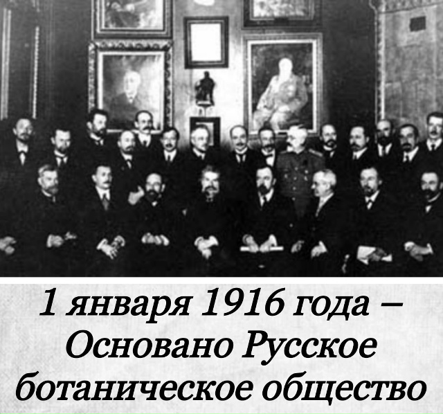 День в истории Петербурга